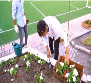 Afforestation Day